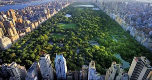 Central Park – Setting up the model for changing city fabric